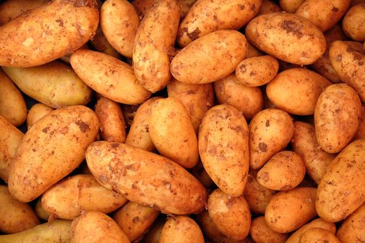 Many potatoes on a Farmer's market in top view