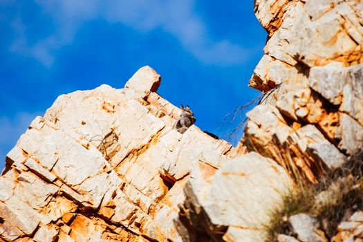 The iconic Standley Chasm and its fascinating rock formations in MacDonnell Ranges National Park, near Alice Springs in the Northern Territory, Australia