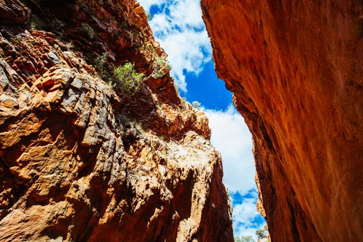 The iconic Standley Chasm and its fascinating rock formations in MacDonnell Ranges National Park, near Alice Springs in the Northern Territory, Australia