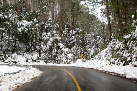 The road to Lake Mountain in Yarra Ranges National Park after a snow stoem in Victoria, Australia