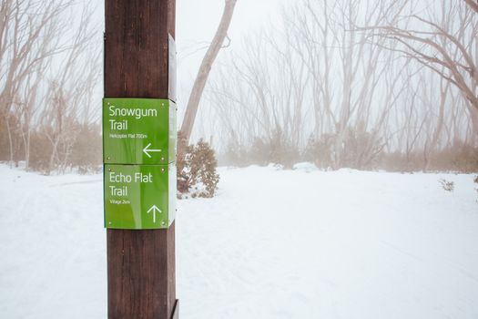 A freshly groomed trail in the middle of winter season at Lake Mountain in Victoria, Australia