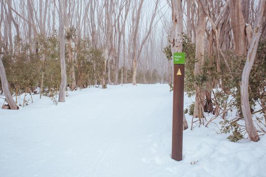 A freshly groomed trail in the middle of winter season at Lake Mountain in Victoria, Australia