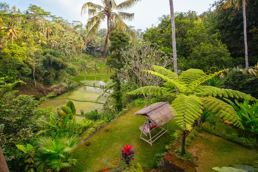 Luxury villa above rice fields near Ubud, Bali, Indonesia