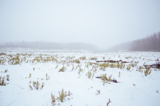 Large expanse of snow covered land around the Taggerty River at Lake Mountain in Victoria, Australia