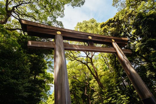 Tokyo, Japan - May 11 2019: Meji-jingu Gyoen and Shrine is a popular tourist attraction in Tokyo near Harajuku in Tokyo, Japan