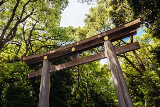 Tokyo, Japan - May 11 2019: Meji-jingu Gyoen and Shrine is a popular tourist attraction in Tokyo near Harajuku in Tokyo, Japan