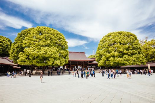 Tokyo, Japan - May 11 2019: Meji-jingu Gyoen and Shrine is a popular tourist attraction in Tokyo near Harajuku in Tokyo, Japan