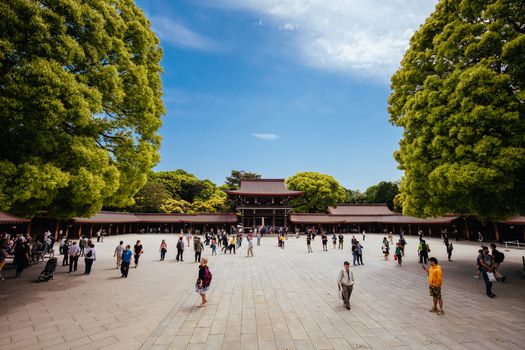 Tokyo, Japan - May 11 2019: Meji-jingu Gyoen and Shrine is a popular tourist attraction in Tokyo near Harajuku in Tokyo, Japan