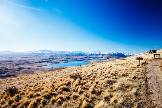 The view of the southern alps and Lake Alexandrina from Mt John Walkway and observatory area near Lake Tekapo on a clear spring evening in New Zealand