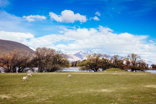 Stunning mountain landscape at Isengard Lookout in an area known as 'Middle Earth' between Paradise and Glenorchy in New Zealand