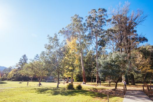 Marysville, Australia - May 16 2020: The quaint tourist country town of Marysville on an autumn afternoon in Victoria, Australia