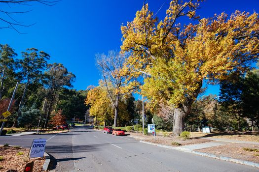 Marysville, Australia - May 16 2020: The quaint tourist country town of Marysville on an autumn afternoon in Victoria, Australia