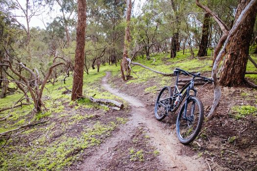 Mountain bike trails around Plenty Gorge in Northern Melbourne in Victoria, Australia