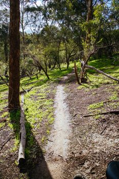 Mountain bike trails around Plenty Gorge in Northern Melbourne in Victoria, Australia