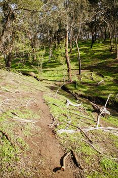 Mountain bike trails around Plenty Gorge in Northern Melbourne in Victoria, Australia