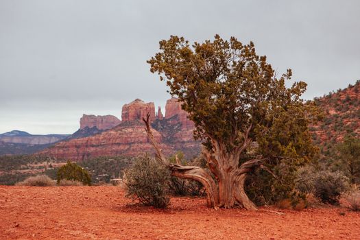 Cathedral Rock near Sedona on a winter's afternoon in Arizona, USA