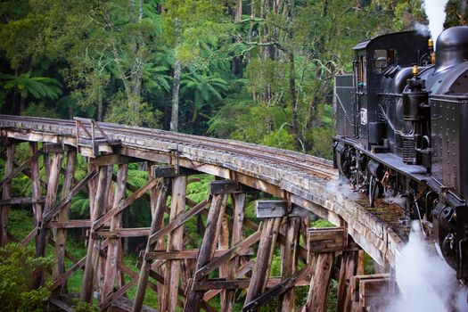 Melbourne, Australia - June 11 2012: Puffing Billy steam train travels across an old wooden bridge in Melbourne, Victoria, Australia