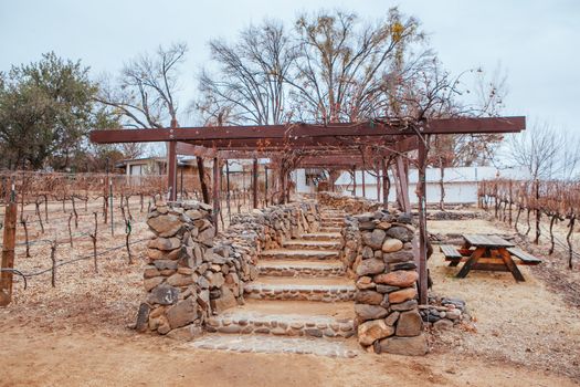 Page Springs vineyard on Oak Creek during winter near Cottonwood in Arizona, USA