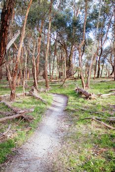 The popular Lysterfield mountain bike park in Churchill National Park situated in eastern Melbourne in Victoria, Australia