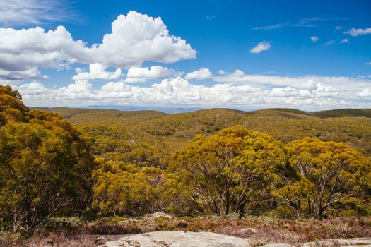 Mt Baw Baw landscape and walking trails during summer in Victoria, Australia