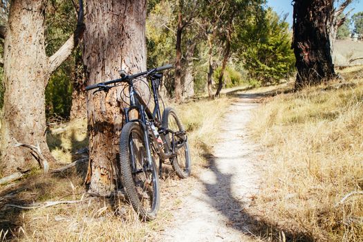 The popular Smiths Gully trails near Melbourne in Victoria, Australia