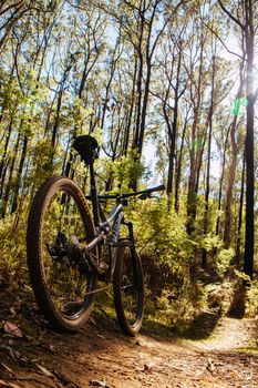 The popular Buxton mountain bike park in Black Range State forest near Marysville in Victoria, Australia