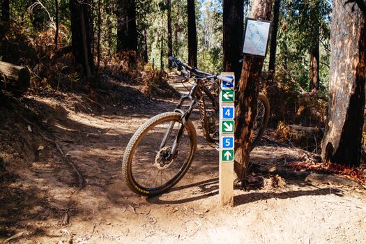 The popular Buxton mountain bike park in Black Range State forest near Marysville in Victoria, Australia