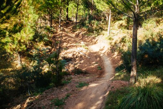 The popular Bright mountain bike park in Victoria, Australia