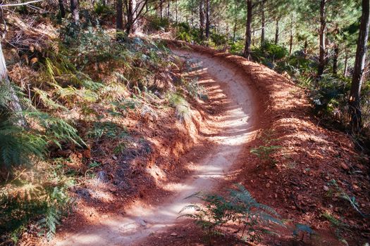 The popular Bright mountain bike park in Victoria, Australia