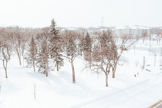 Island Park in Downtown Fargo covered in snow after a storm in North Dakota, USA