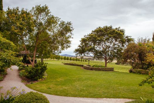 Melbourne, Australia - December 8 2013: De Bortoli gardens and vines in the Yarra Valley, Victoria, Australia