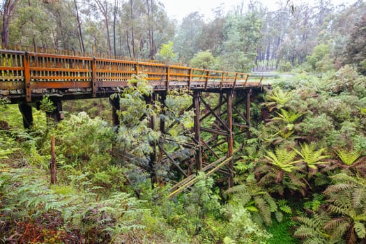 The famous Noojee Trestle Rail Bridge on a cool wet spring day in Victoria Australia