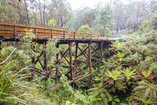 The famous Noojee Trestle Rail Bridge on a cool wet spring day in Victoria Australia