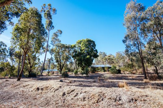 Mackenzie River picnic area and remnants of cottages in Zumsteins historic area in Grampians National Park in Victoria Australia