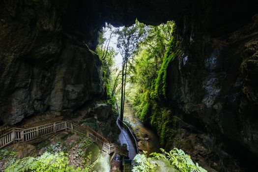 The famous Mangapohue Natural Bridge near Waitomo Caves on New Zealand's north island.