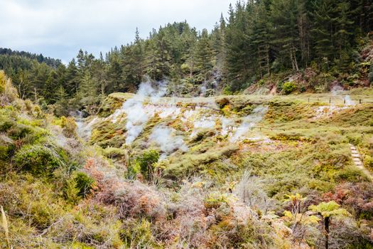 The volcanic and fascinating landscape of Wairakei Natural Thermal Valley near Taupo in New Zealand