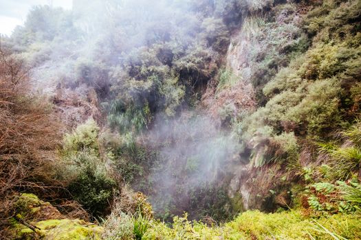 The volcanic and fascinating landscape of Wairakei Natural Thermal Valley near Taupo in New Zealand