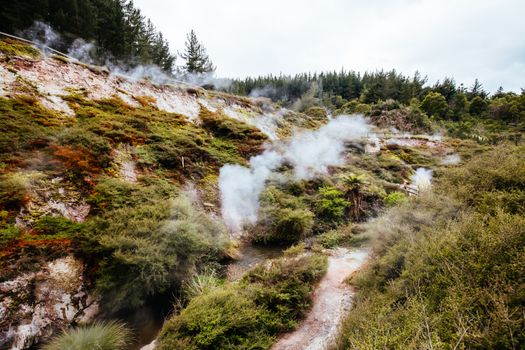 The volcanic and fascinating landscape of Wairakei Natural Thermal Valley near Taupo in New Zealand