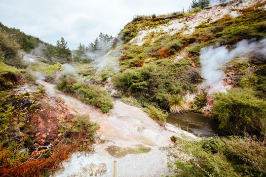 The volcanic and fascinating landscape of Wairakei Natural Thermal Valley near Taupo in New Zealand