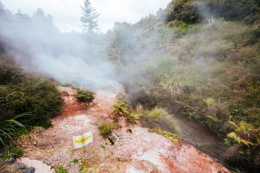 The volcanic and fascinating landscape of Wairakei Natural Thermal Valley near Taupo in New Zealand