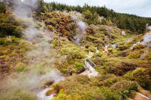 The volcanic and fascinating landscape of Wairakei Natural Thermal Valley near Taupo in New Zealand