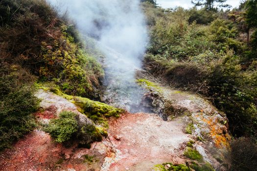 The volcanic and fascinating landscape of Wairakei Natural Thermal Valley near Taupo in New Zealand