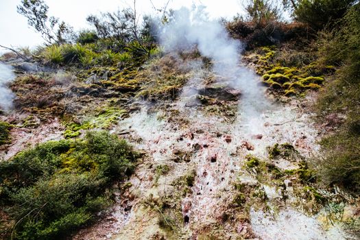 The volcanic and fascinating landscape of Wairakei Natural Thermal Valley near Taupo in New Zealand