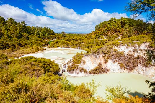 Wai-O-Tapu Geothermal Wonderland near Rotorua in New Zealand