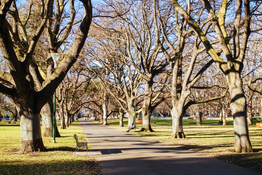 Carlton Gardens on a clear sunny winter's day in Melbourne Australia