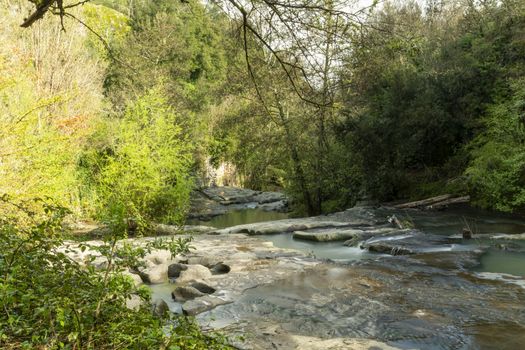 river of fosso castello in soriano nel cimino viterbo in the wood