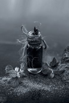 Ayurvedic herb brahmi or Waterhyssop oil in a small transparent glass bottle along with its powder on wooden surface.