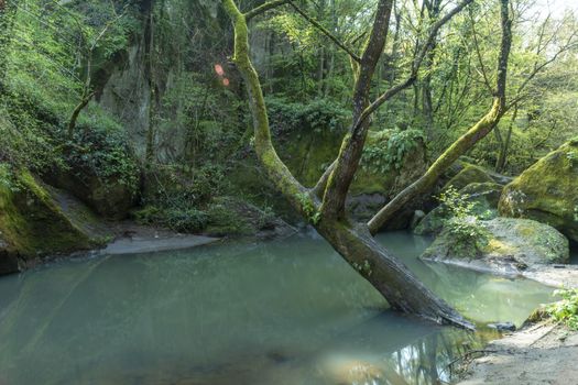 river of fosso castello in soriano nel cimino viterbo in the wood