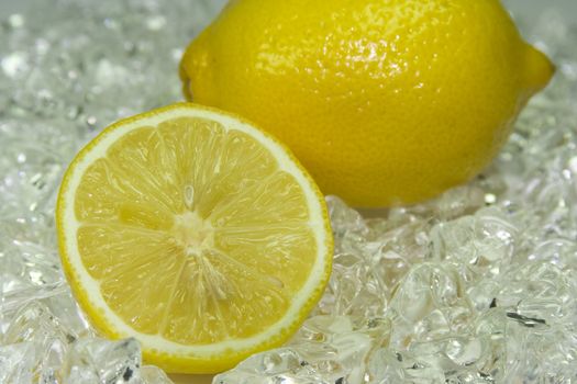 fresh citron on cold ice