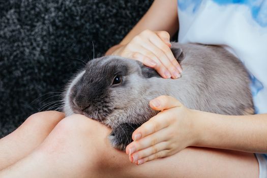 A beautiful lop rabbit being held by a young girl in a home environment